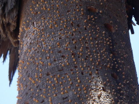 orig_0387220100615071429