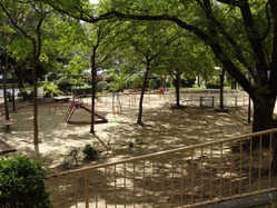 立派な公園があるけど