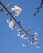 P2011_0404_152946