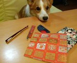 20080830191714