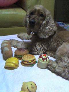 vivifoodtoy