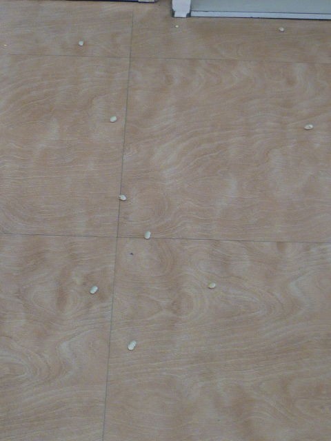 P1080902