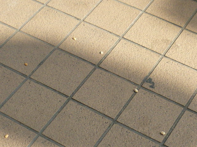 P1080901