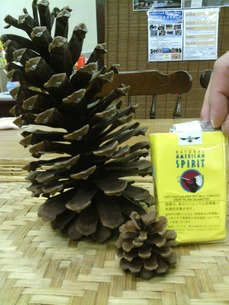 Â粦¾¾