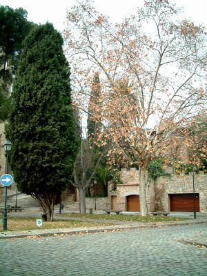 monasterio1a