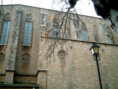 nibasterui3