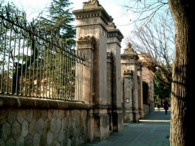 ポリテクニック大学