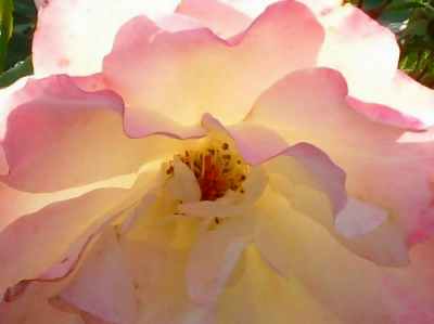 baronne de rothschild