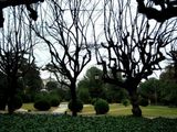 jardin2
