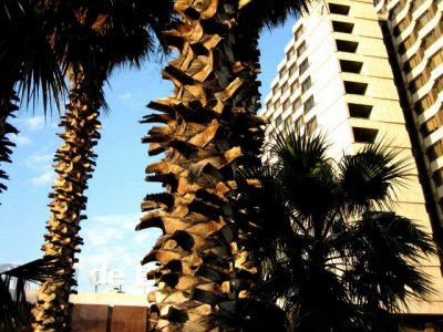diagonal