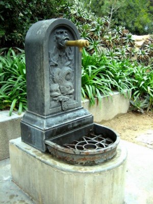 水のみ