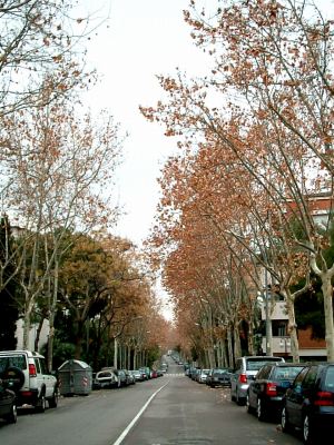 calle2
