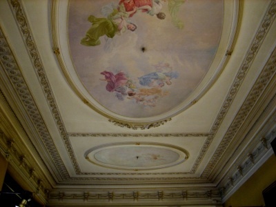 galeria comas4