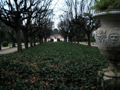 mazeta3c