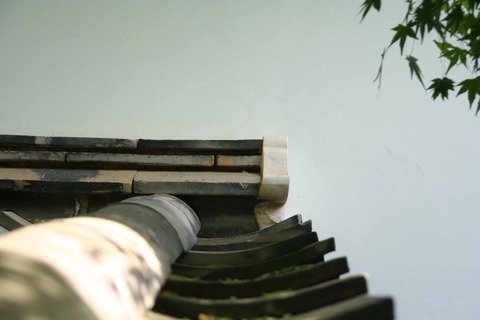 20110516noshigawara2