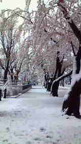 2d7039aa.jpg