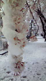 6326fcf7.jpg