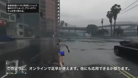 gta5zd11