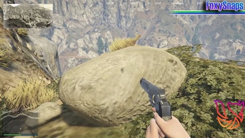 gta5dg31