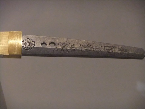 山城守国清1茎