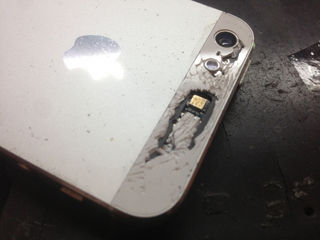 IMG_2023-thumb-320x240-7443