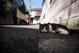 IMG_20090920
