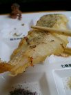 真魚鰹