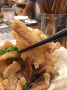 でんがな駅南 鶏皮 (2)