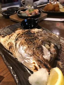 小鉄 (7)