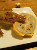 ��ˤ���̣�����˿��äƤޤ���