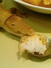 ワニも美味そうに食ってます。