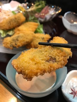 ウレシスシ (8)