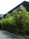 mua店舗外観