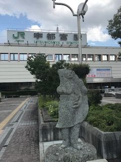 image5 (20)