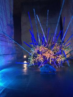 image3 (65)