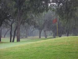 250px-GolfInRain