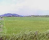 20050628112243.jpg