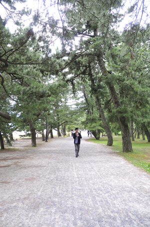 walk