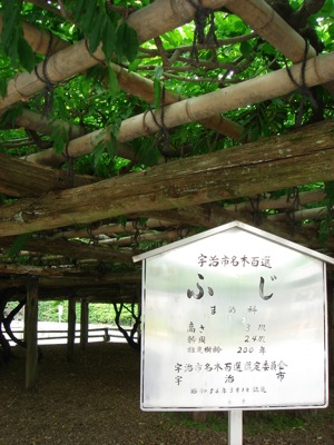 uji02