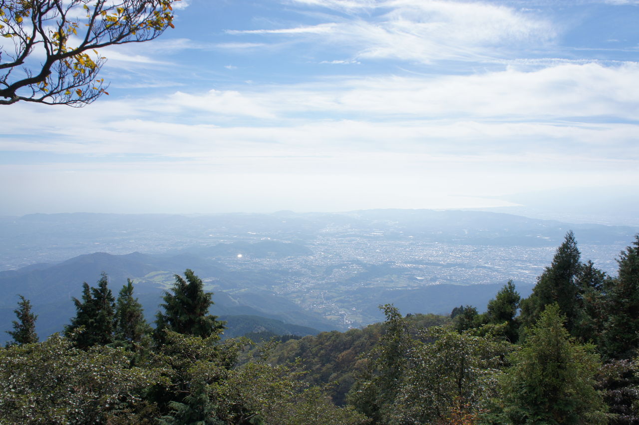 DSC00772