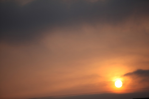 a0782_000511_m