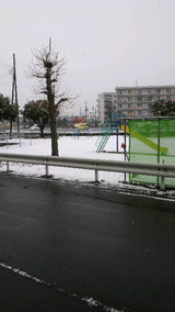 f448a3de.jpg