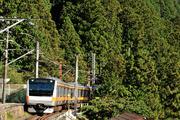 E233系0番台 八トタ青462編成