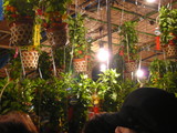 16d32ef6.jpg