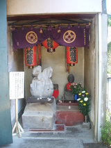 de39c788.jpg