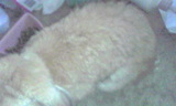 9d478168.jpg