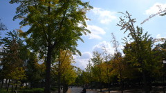 P1010116