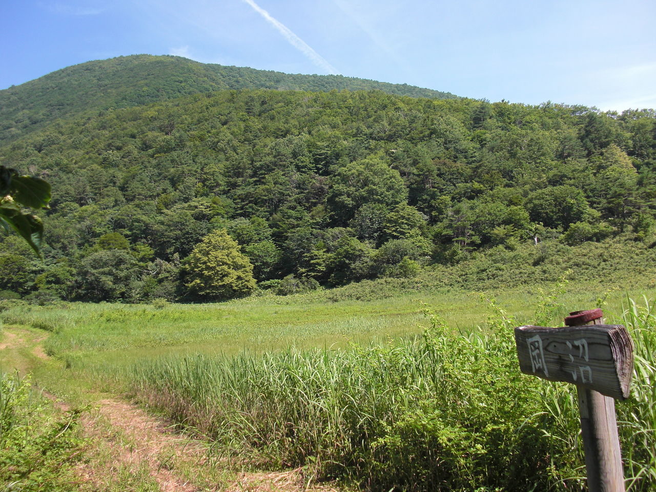 泉ヶ岳かもしかコースを登る 仙台近郊の山 蕃山登山コース 紹介 マイカー者必見