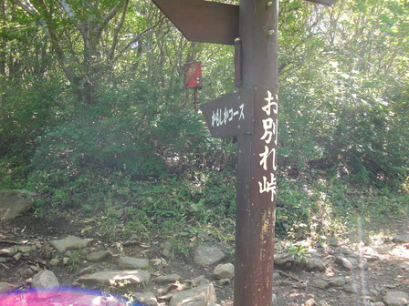 CIMG2757