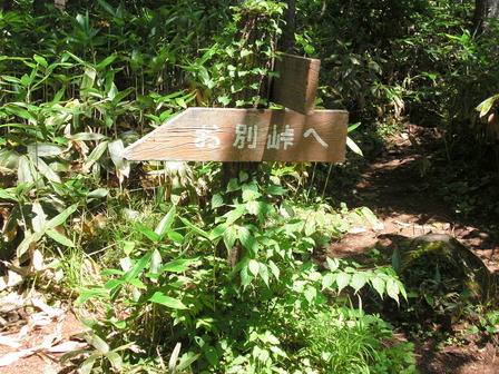 CIMG2763